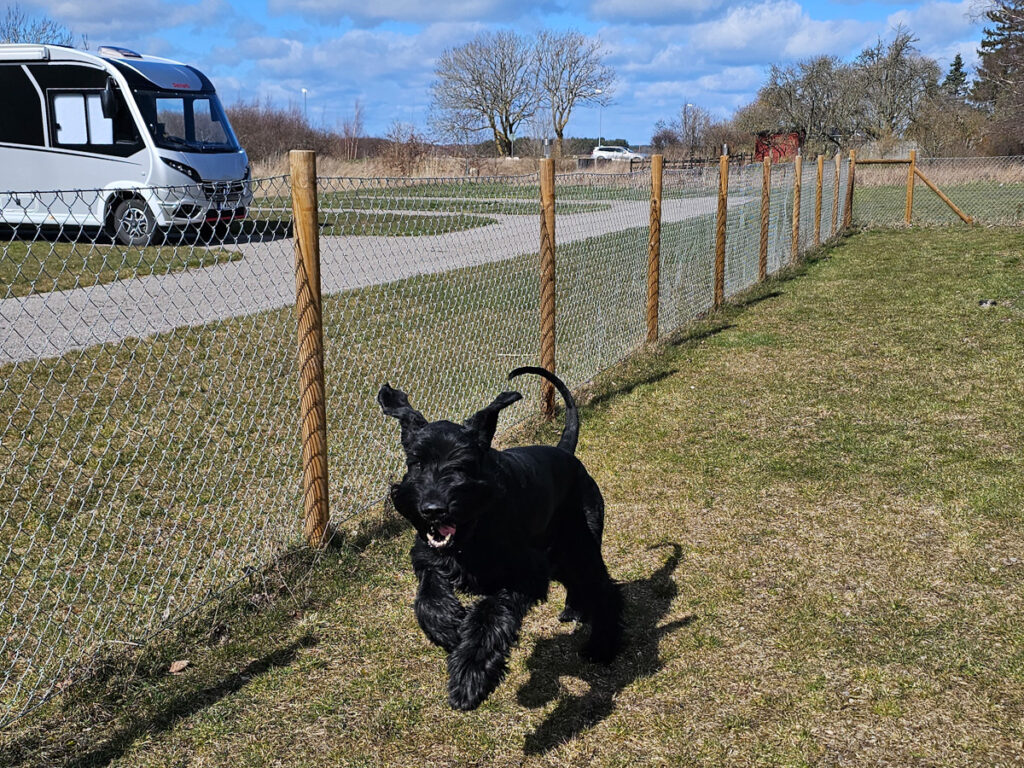 Elfvings ställplats med hundrastgård 